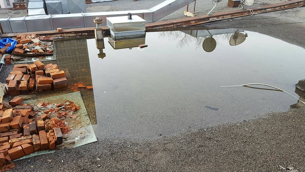 Accumulation d'eau sur un toit plat mal entretenu pour cause de drain bouché
