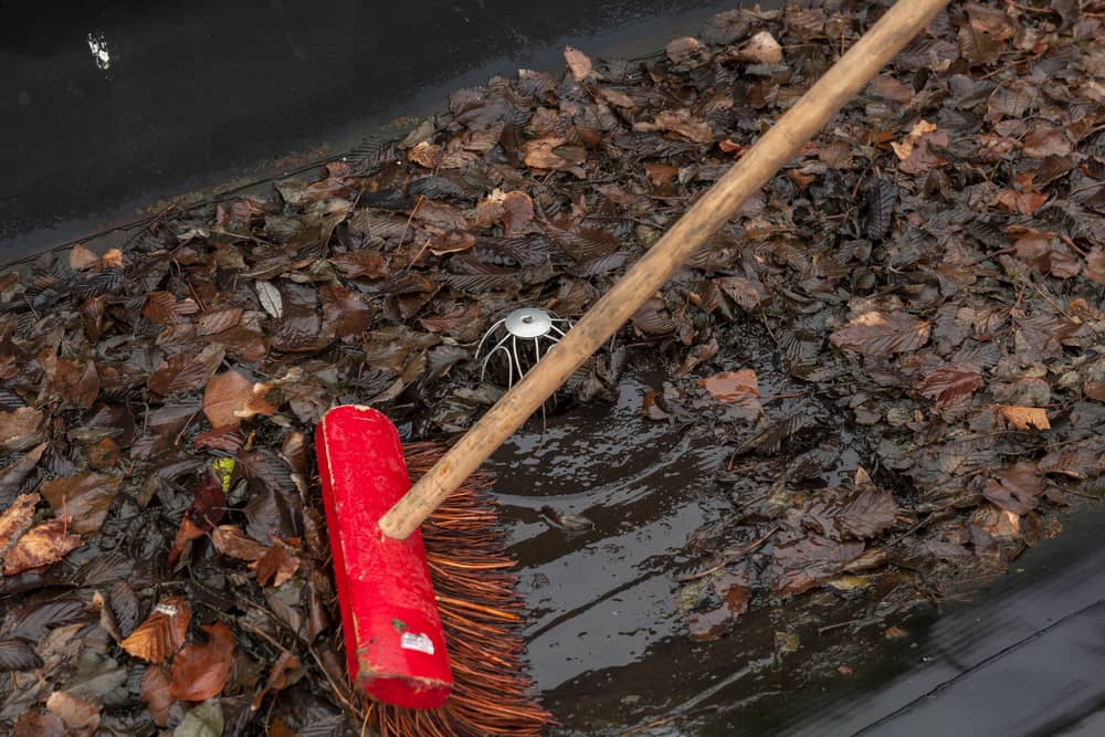 Drain de toit plat bouché par la boue et les feuilles mortes