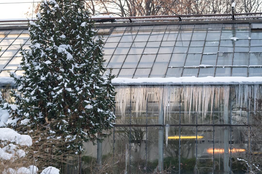 Des glaçons suspendus d'une toiture en vitre.