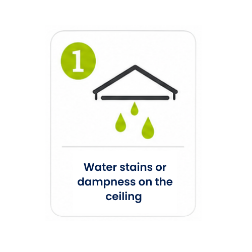 Icon number 1: Water stains or dampness on the ceiling.