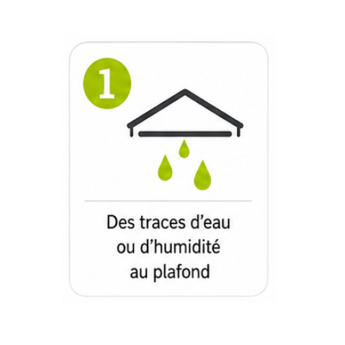 Icône numéro 1 : Des traces d'eau ou d'humidité au plafond.