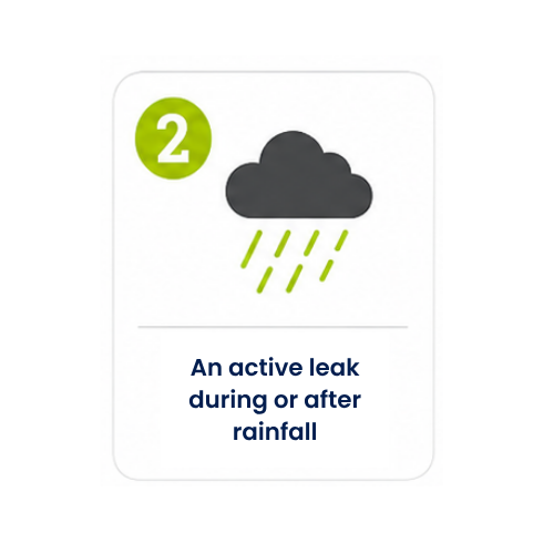 Icon number 2: An active leak during or after rainfall.