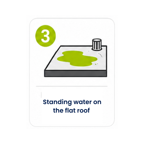 Icon number 3: Standing water on the flat roof.