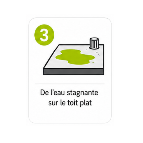 Icône numéro 3 : De l'eau stagnante sur le toit plat.