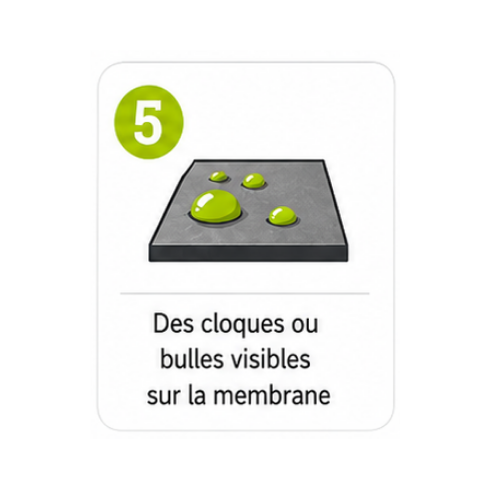 Icône numéro 5 : Des cloques ou bulles visibles sur la membrane.