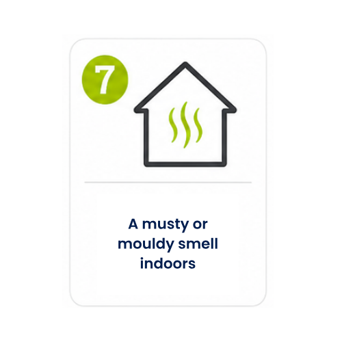 Icon number 7: A musty or mouldy smell indoors.