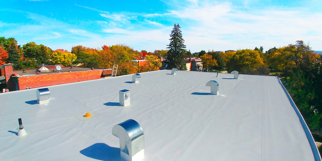 Toit plat en membrane grise avec plusieurs sorties de ventilation métalliques, entouré d'arbres aux couleurs automnales dans un quartier résidentiel de Montréal.