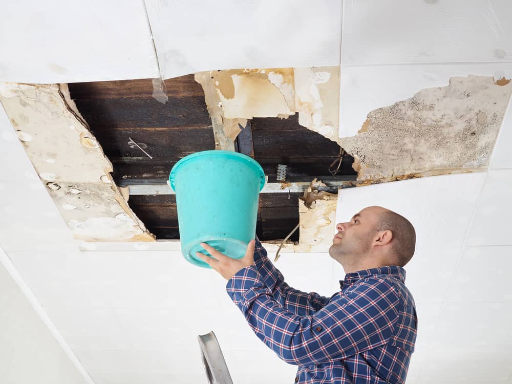 Man holding a bucket under a water-damaged ceiling with visible mould and structural deterioration from a roof leak.